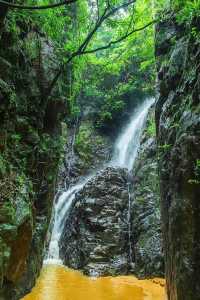 陽台山森林公園｜高處看風景的不止梧桐山！