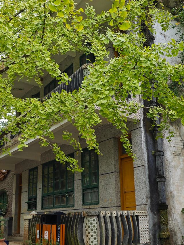廣東韶關帽子峰旅遊區‖大自然的氧吧。