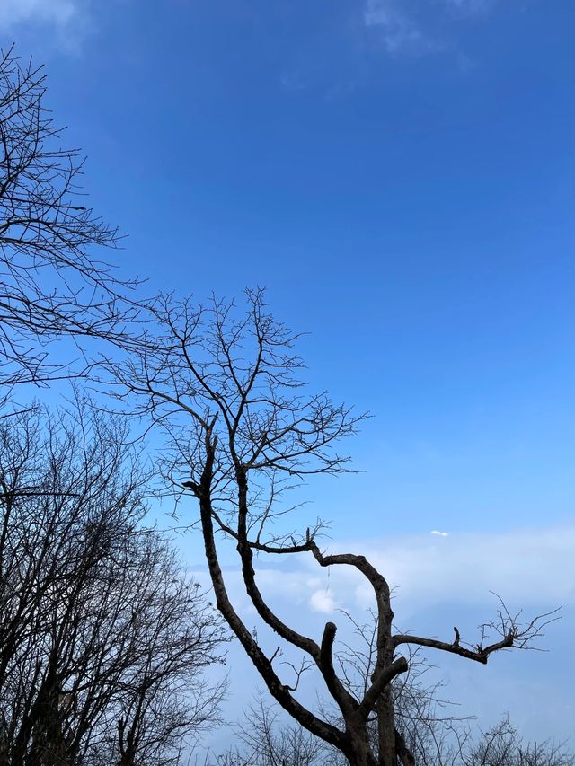 成都天台山｜自然奇觀與文化瑰寶的完美融合