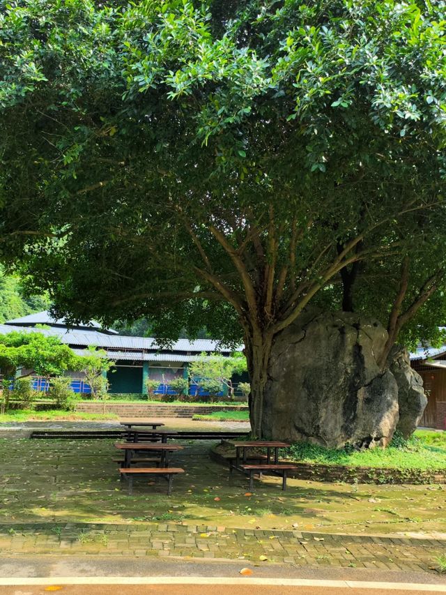 陽春石林風景區，一個宛如仙境的寶藏旅遊地