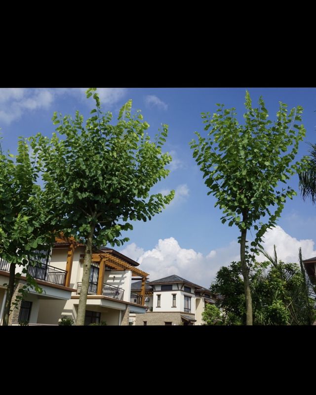 清遠英德威尼斯小鎮寶墩湖湖山溫泉度假