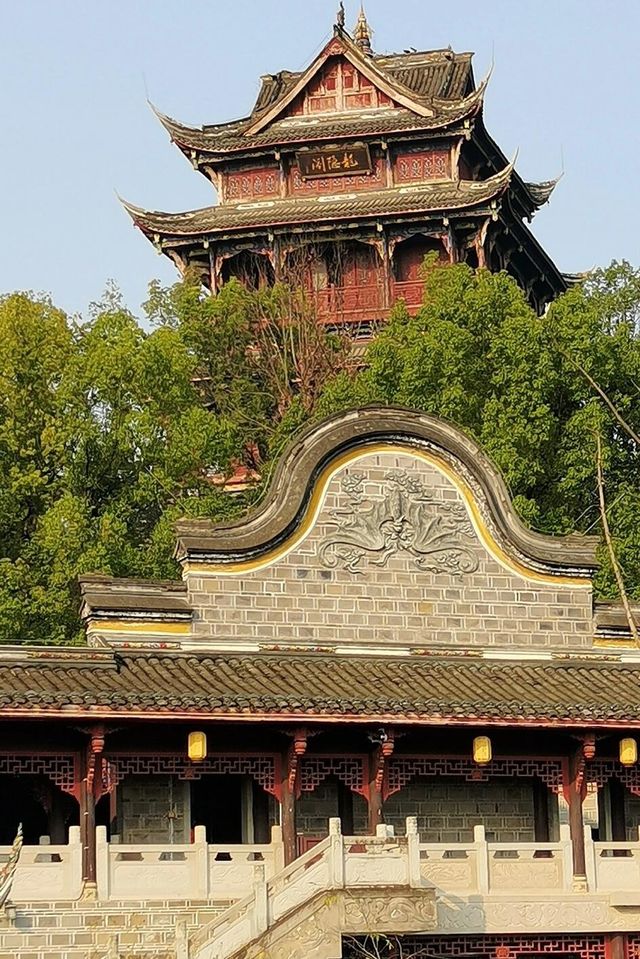 別去江南了，來重慶！我唯一想去無數次的公園