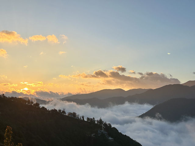 大理無量山·櫻花谷
