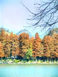 桂林桂湖
