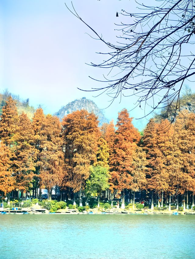 桂林桂湖