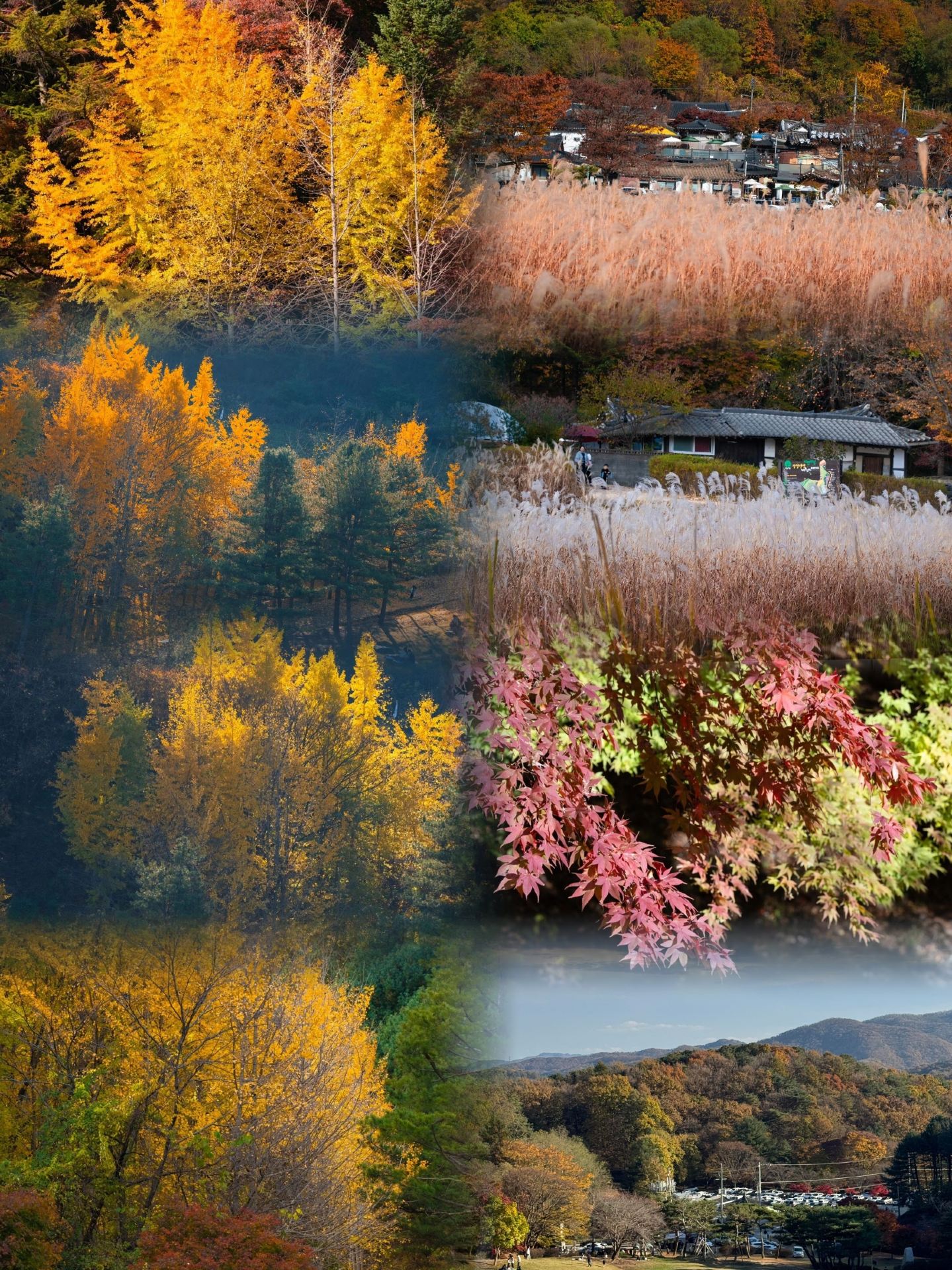 Cheongju Travel Guide | Explore the Treasure City of Chungcheongbuk-do, South Korea