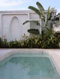 太美了吧~ 在萬寧