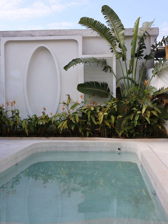 太美了吧~ 在萬寧 太美了吧~ 在萬寧