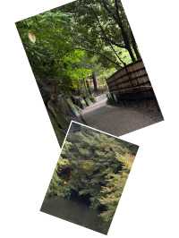【名古屋必去！德川園，一步一景的古典美】