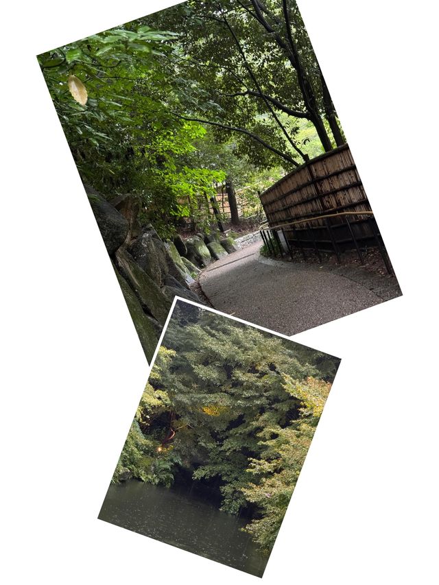 【名古屋必去！德川園，一步一景的古典美】