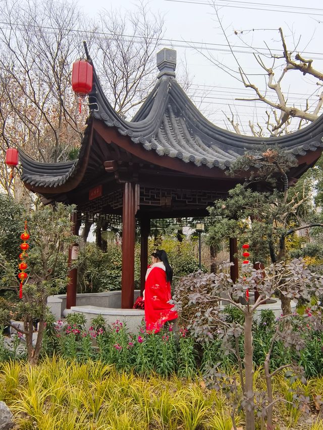 小眾公園有臘梅展