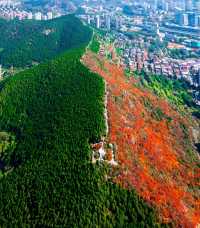 濟南蝎子山