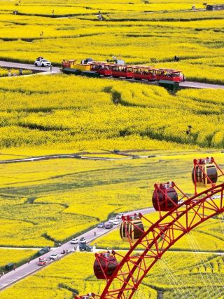 This is not Pingba/Wuyuan, this is a flower paradise 1 hour from Guiyang
