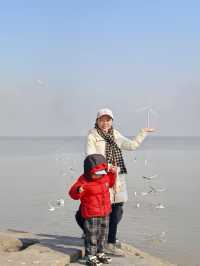 自駕天津東疆親海公園，帶娃看海鷗