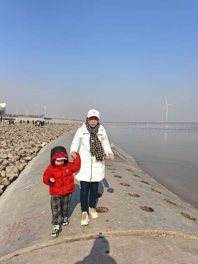 自駕天津東疆親海公園，帶娃看海鷗