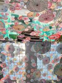 探秘廣西柳州博物館：一段穿越時空的旅程