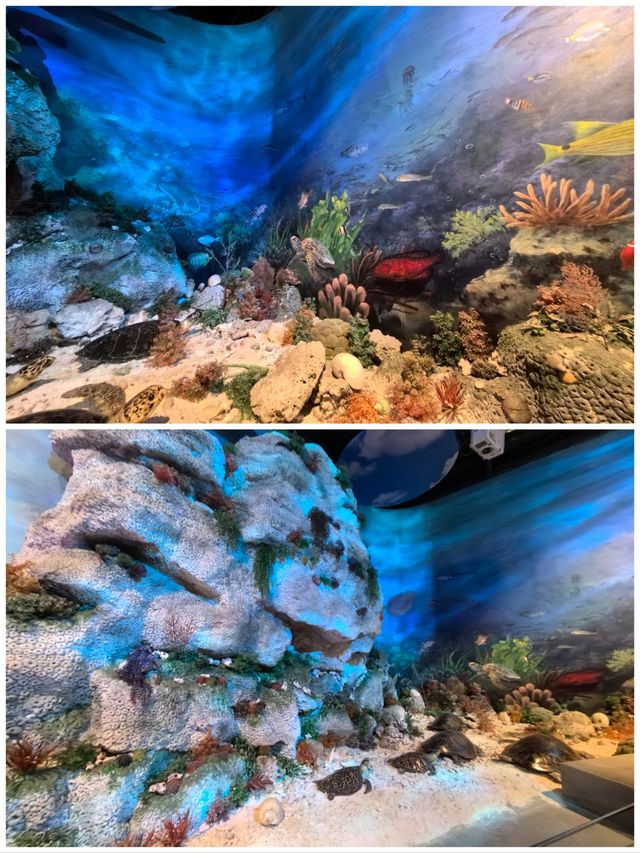 中國（海南）南海歷史博物館一一南海歷史人文陳列