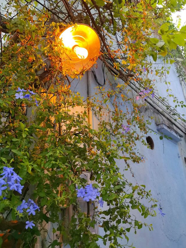 宮崎駿裏的淇澳島