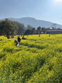 十里藍山休閒度假好去處