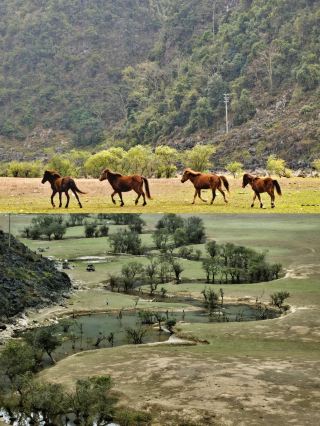 Explore the stunning scenery of Longkalai, Baise, Guangxi
