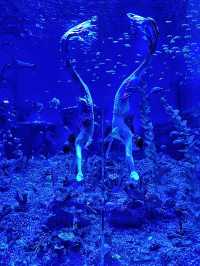 夜遊體驗大揭秘丨廣州海洋館的深海龍宮夜