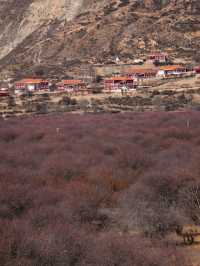 稻城5日遊 玩轉高原美景 不走冤枉路