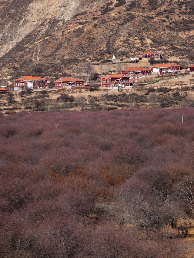 稻城5日遊 玩轉高原美景 不走冤枉路