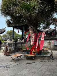 🏯 中山的古典園林 - 詹園 🏯
