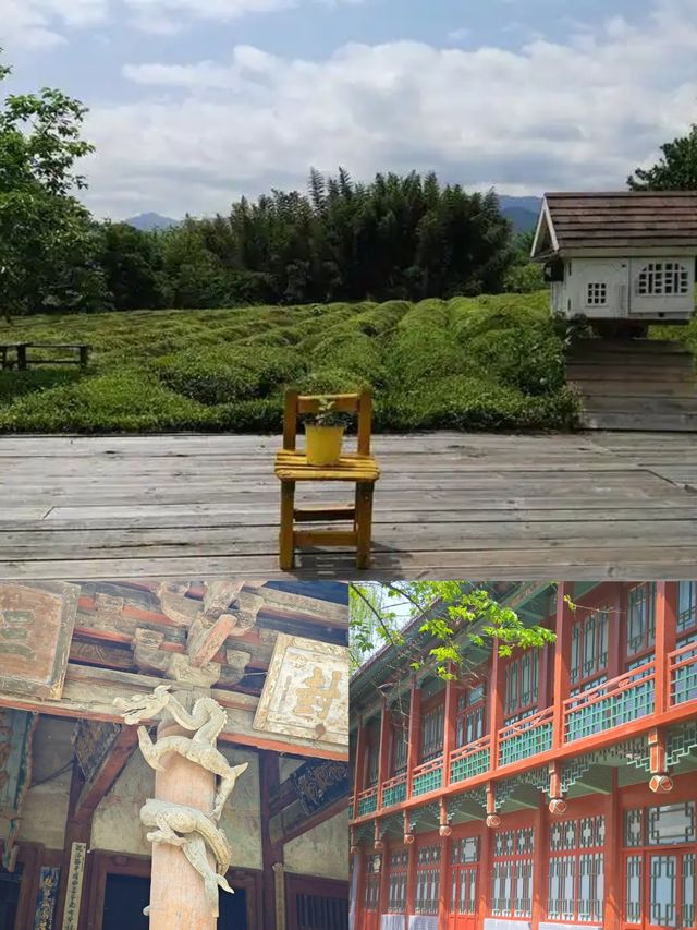 晉州，赴一場山海與人文的浪漫之約
