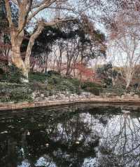 魯迅公園|藏在魔都市區內的寶藏公園一年四季都有著不同的景色