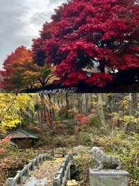 闖入大邱的綠色氧吧 前山公園全攻略