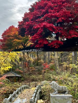대구의 녹색 산소방으로 들어가다 앞산공원 완전 공략