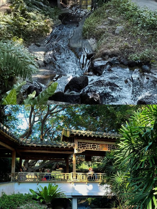 哇塞！台北故宮後花園竟有如此清幽靜謐好景色