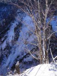 4日長春滑雪之旅 超詳細攻略
