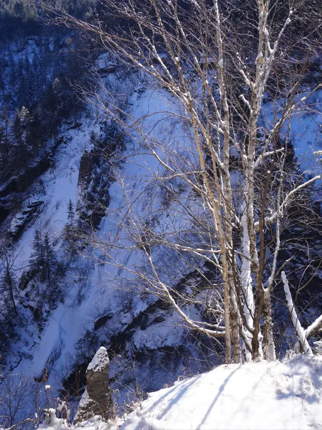 4-Day Changchun Ski Trip: A Detailed Guide