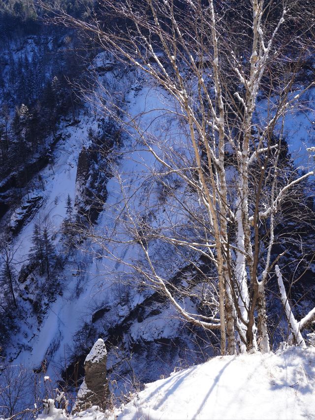 4日長春滑雪之旅 超詳細攻略