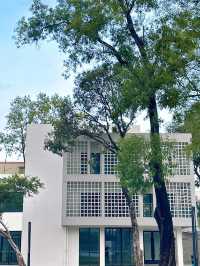 中山華僑公園|陽光濾鏡下的復古時光