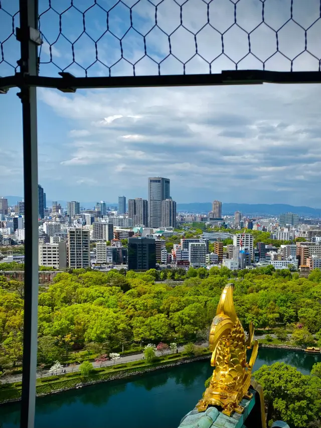 6-Day Japan Tour: Enjoy a Hot Spring Trip