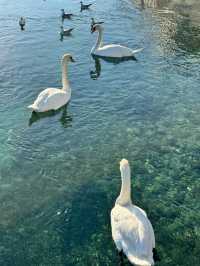 瑞士5日遊 活出你想要的旅行樣子
