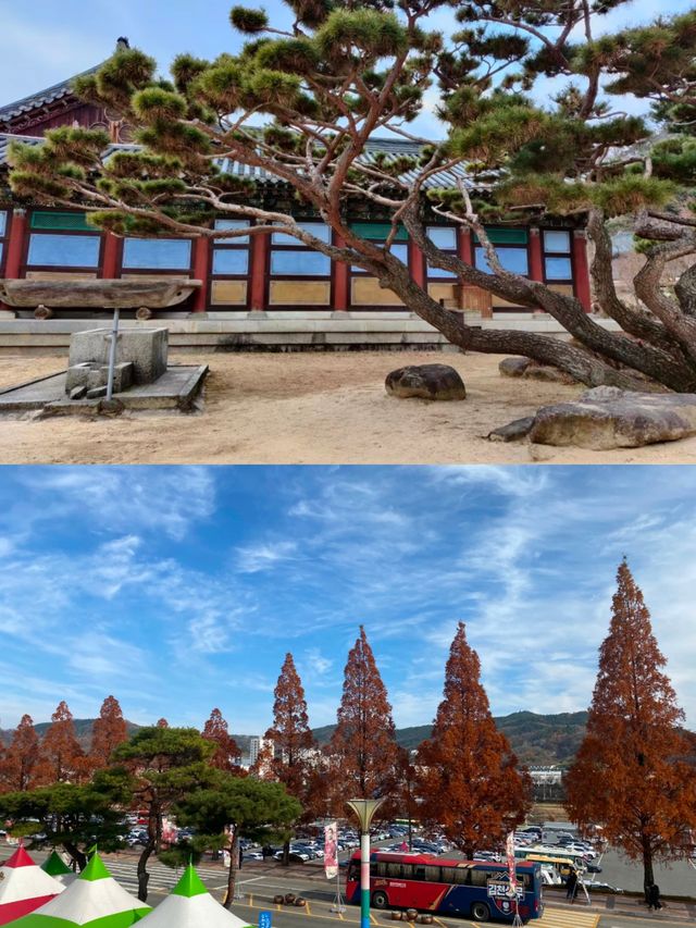 韓國金泉市