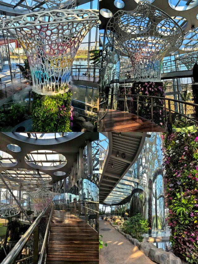 上海植物園，玻璃穹頂下的植物百科。