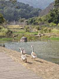 恩上濕地公園：期待與現實
