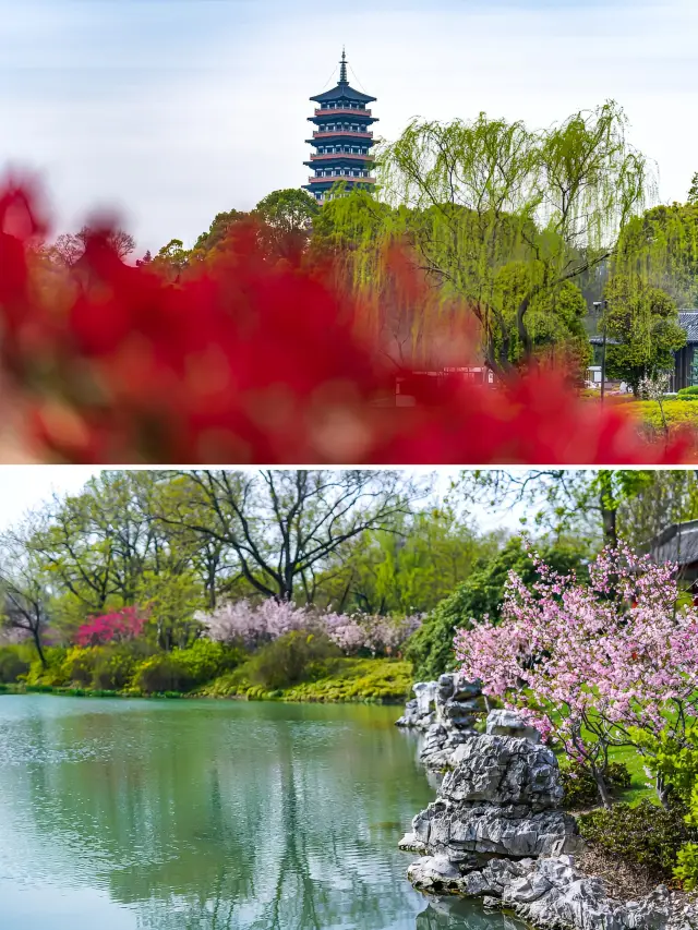 Yangzhou Peach Blossom Map | Spring Beauty in Classical Gardens