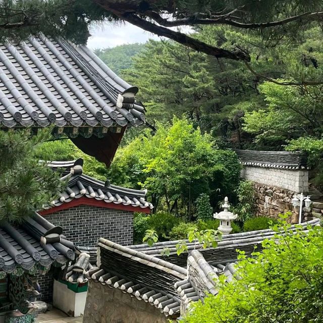 🇰🇷首爾超治愈行程：津寬寺&絕美視野咖啡廳