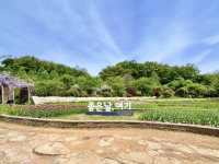 韓國富川自然生態公園：探秘自然之美，盡享親子樂趣！