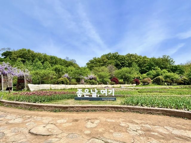 韓國富川自然生態公園：探秘自然之美，盡享親子樂趣！