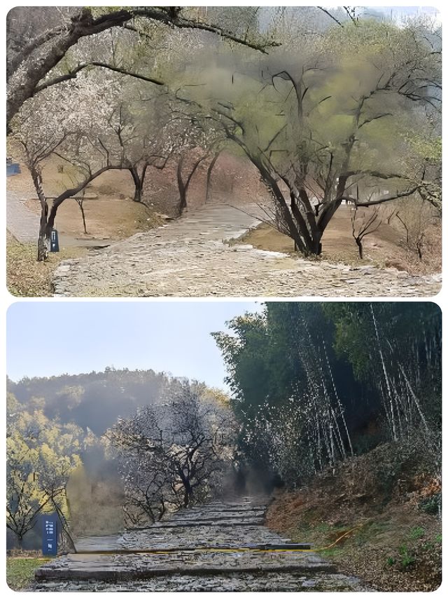 漫步梅關古道，領略千年韻味詩意濃濃