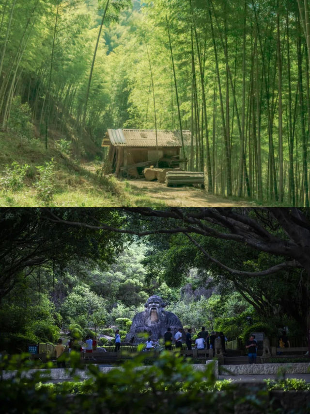 自帶「綠」鏡？福建吸氧躺平指南來啦！