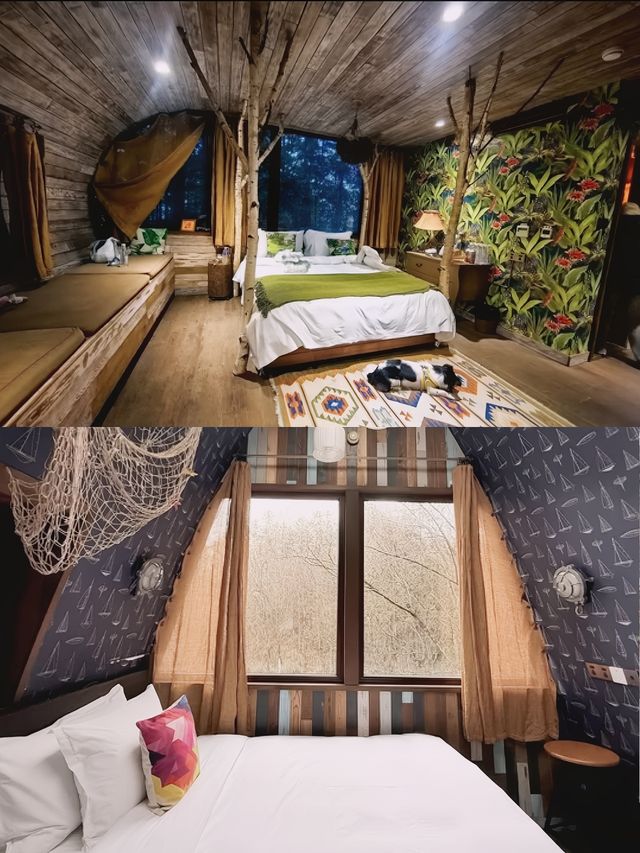 誤入童話秘境 齊雲山自由家·樹屋世界