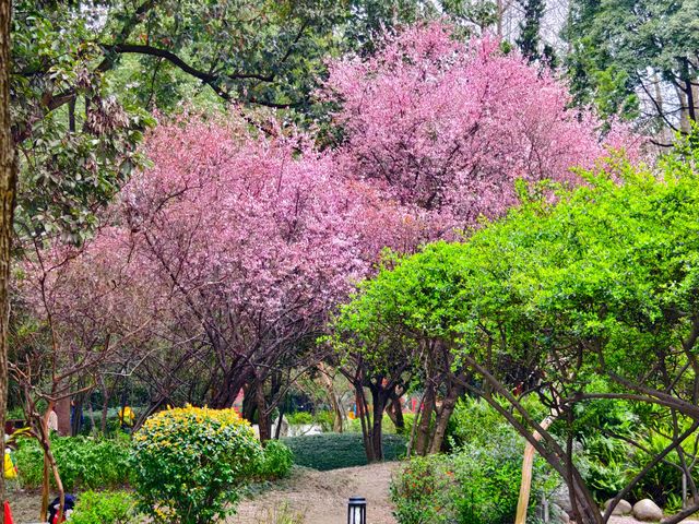 三月遊成都，別錯過這個滿園海棠的古風公園